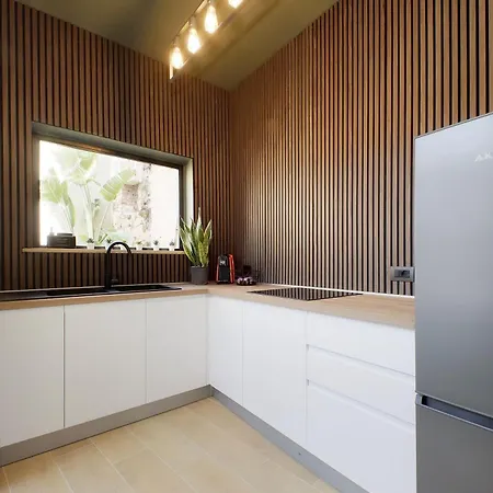Loft Eleven Nettuno